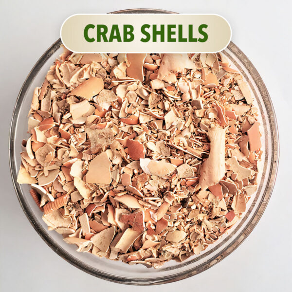 Crab Shells