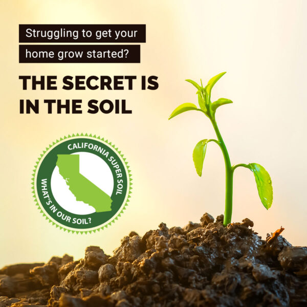 The Secret is in the Soil
