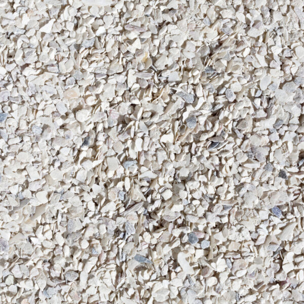 Oyster Shells