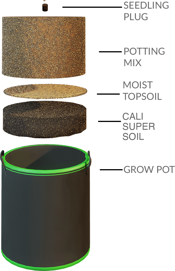 soil graph