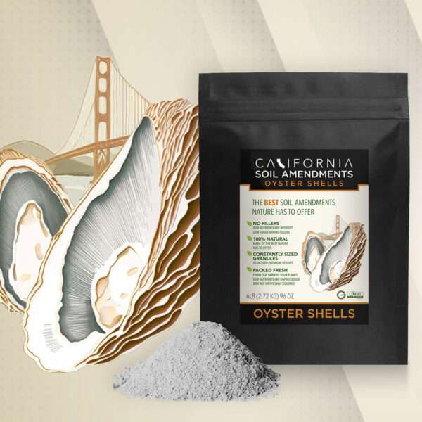 Oyster Shells