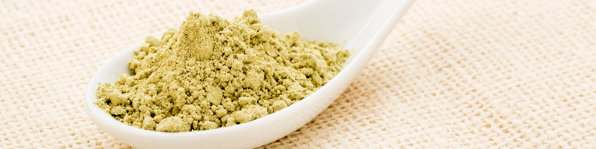 kelp meal powder