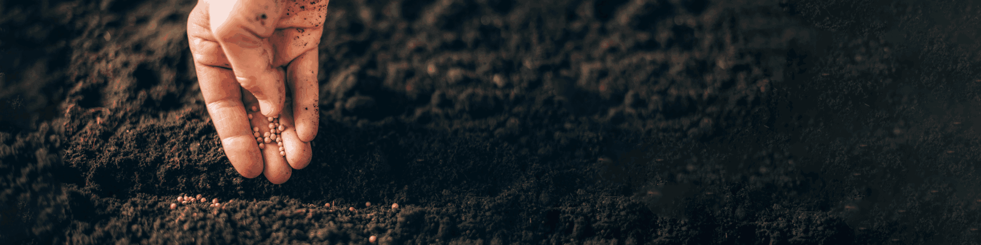Super Soil Benefits