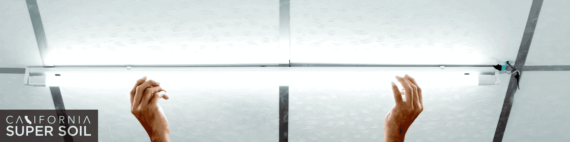 Fluorescent Lights Advantages and Disadvantages 