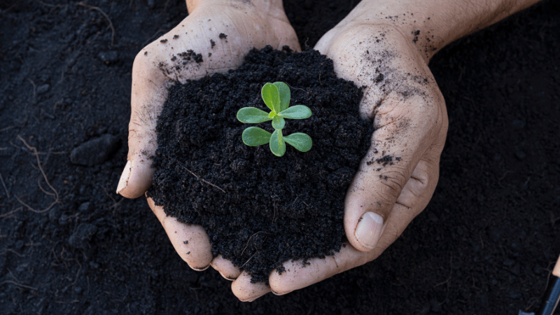 How to Use The Super Soil Autoflower Concentrate