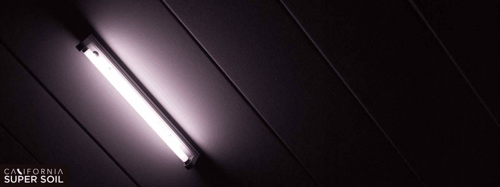 Incandescent Vs. Fluorescent Vs. HPS Vs. LED Lights