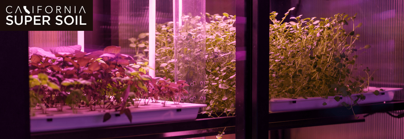 Do Full Spectrum Lights Provide Good Health