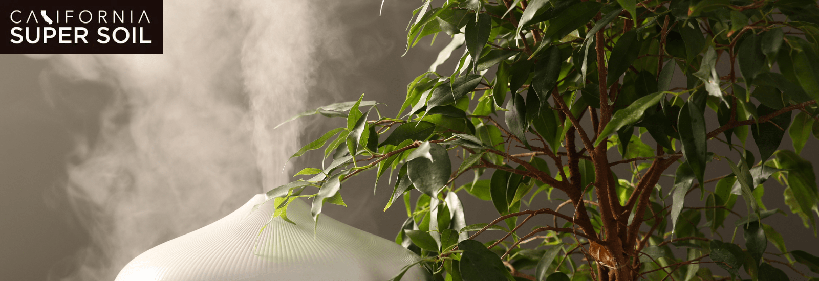 How Does a Humidifier for Grow Tent