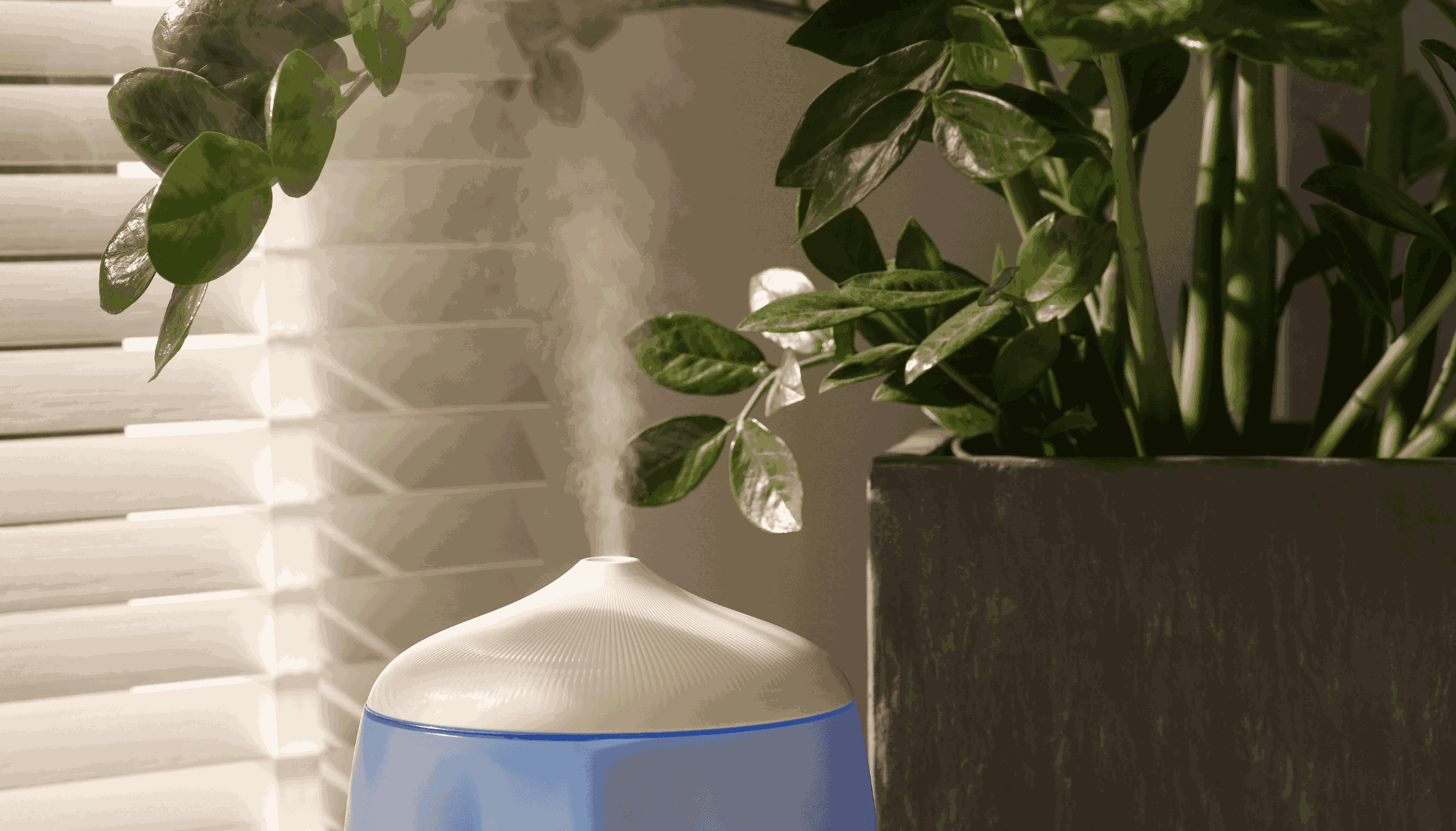 Why You Need a Humidifier for Grow Tent?