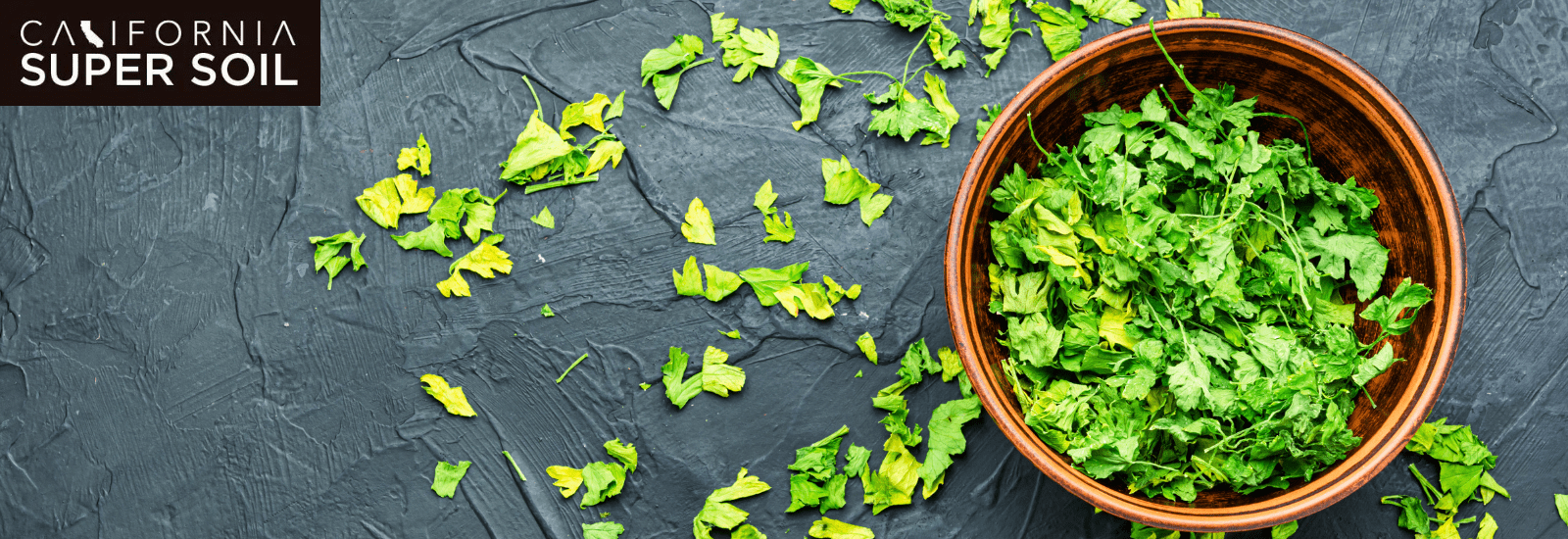 Parsley