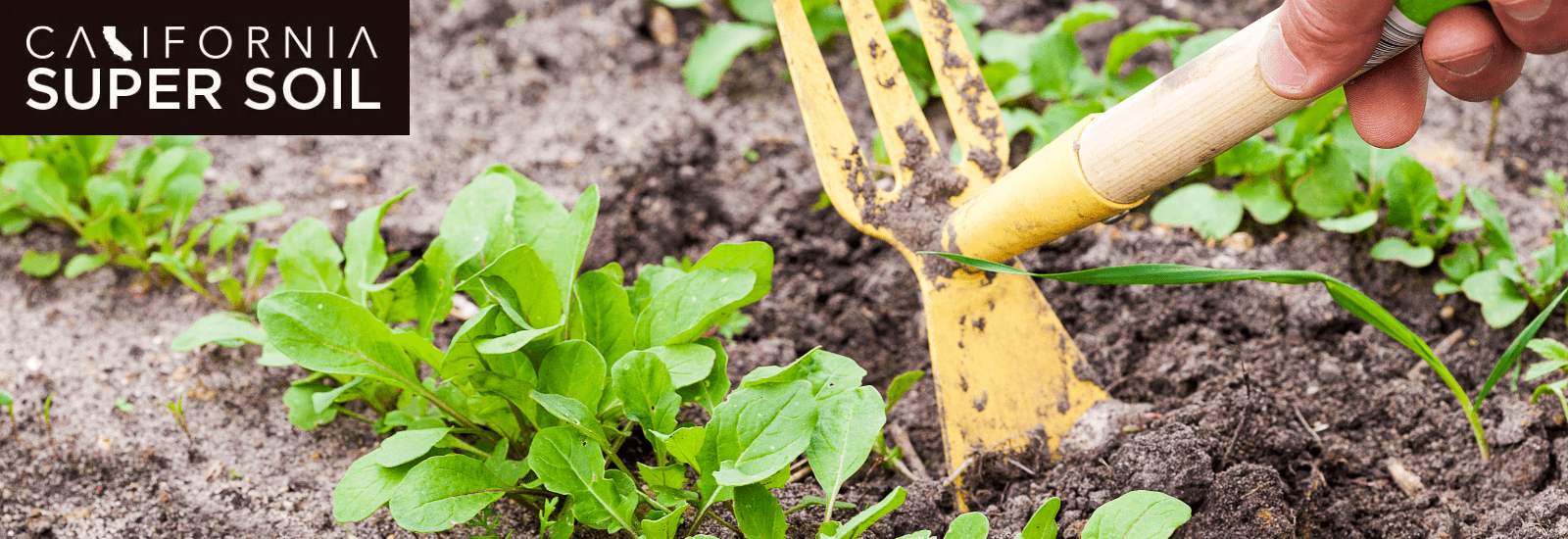 grow weed tools