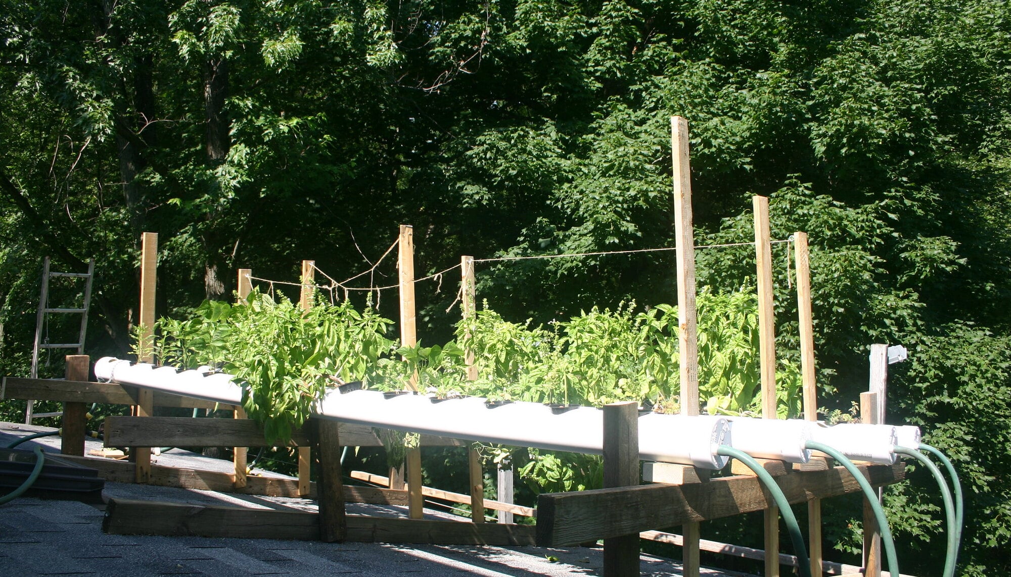 What is Deep Water Culture Systems