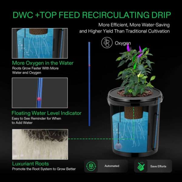 DWC + Top Feed Recirculation Drip