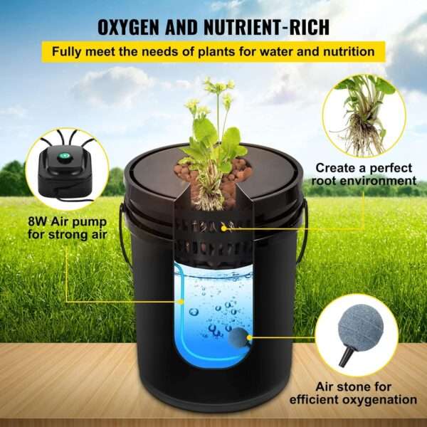 Hydroponic Grow Kit - Oxygen and Nutrient-Rich