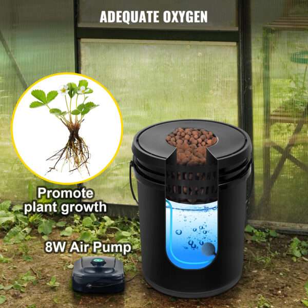 Hydroponic Grow Kit - Adequate Oxygen