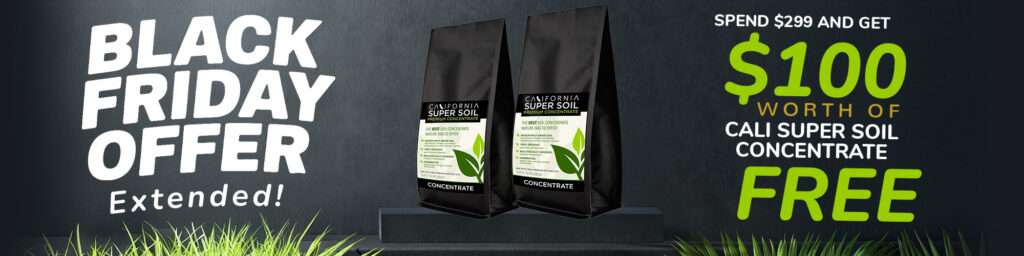 Black Friday Offer Extended - Spend $299 and get $100 worth of Cali Super Soil Concentrate FREE