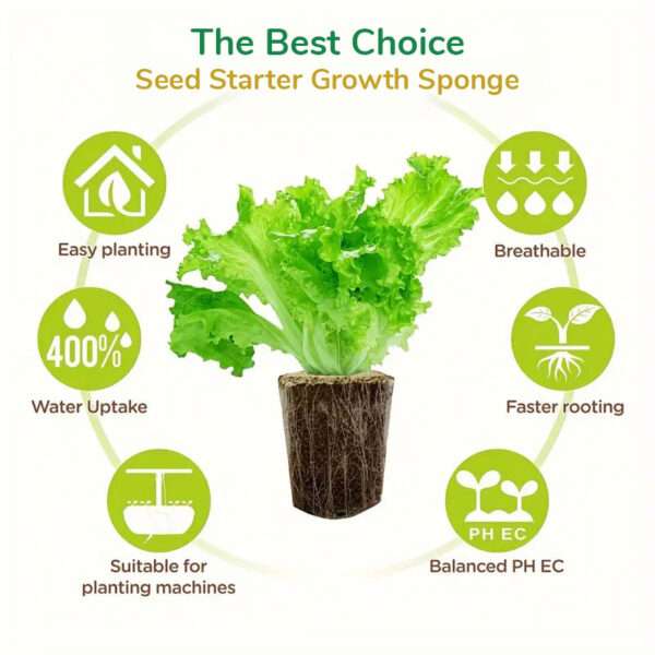 The Best Choice - Seed Starter Growth Sponge