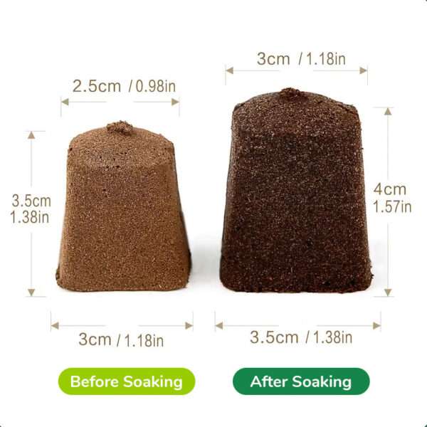 Before and After Soaking