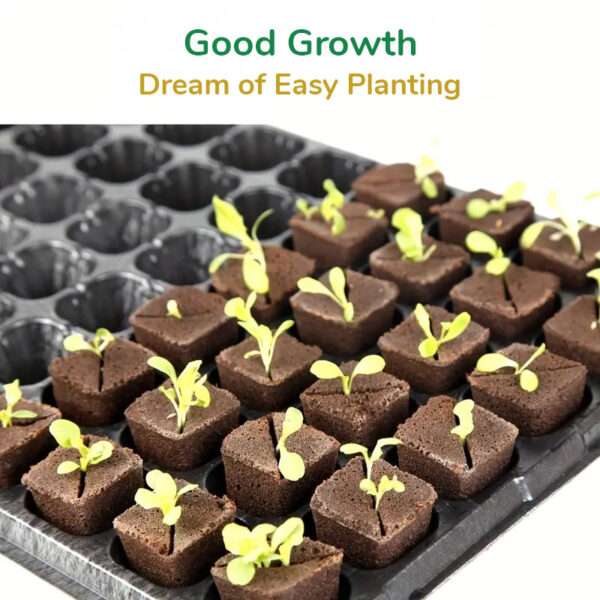 Good Growth - Dream of Easy Planting