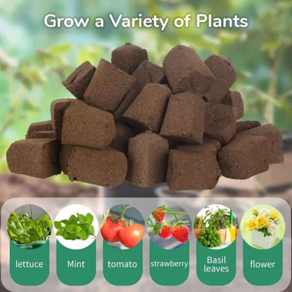 Grow a Variety of Plants