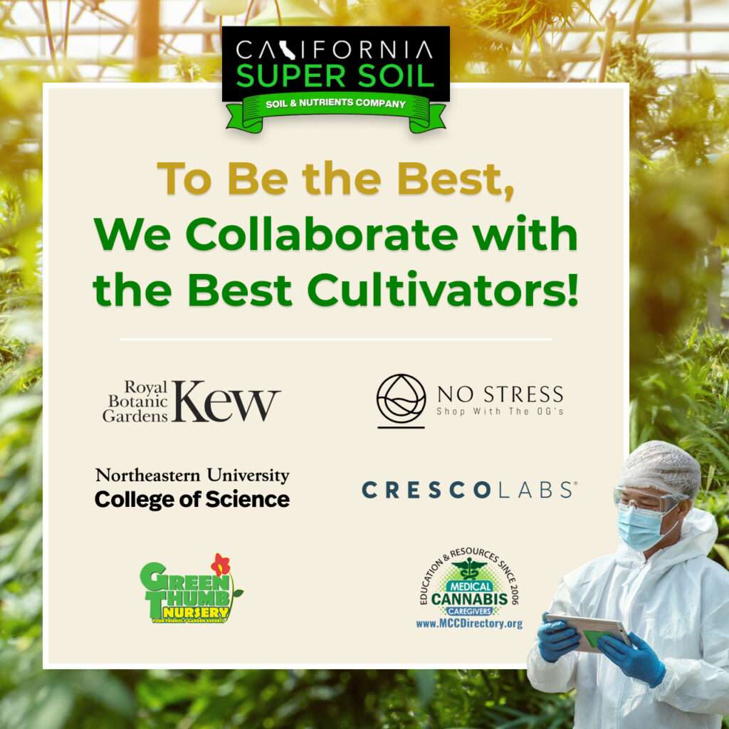 To Be the Best, We Collaborate with the Best Cultivators!