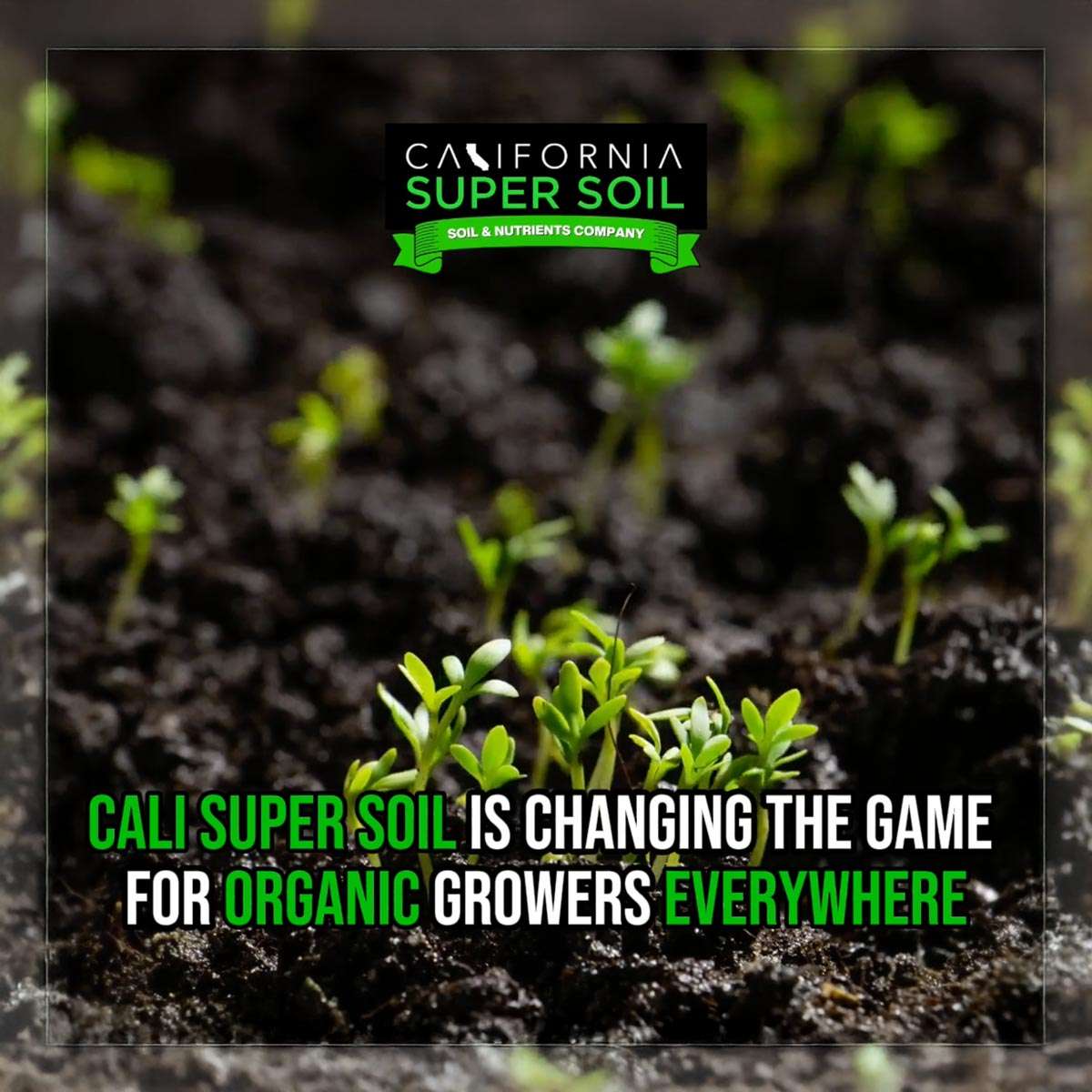 CaliSuperSoil – Fermented Soil Products