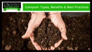 Compost
