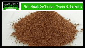 fish meal