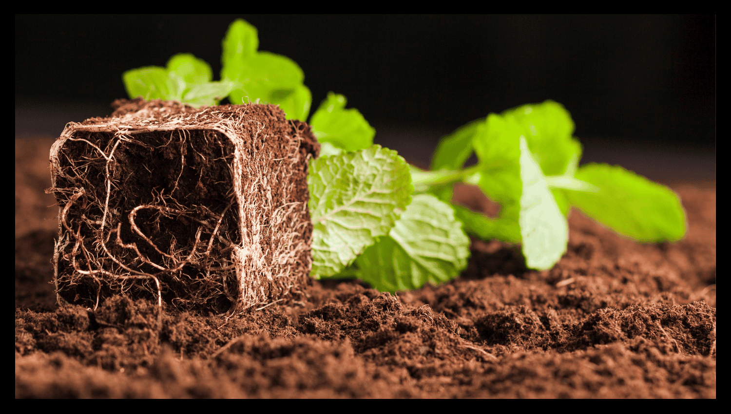 aeration benefits