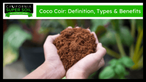 Coco Coir