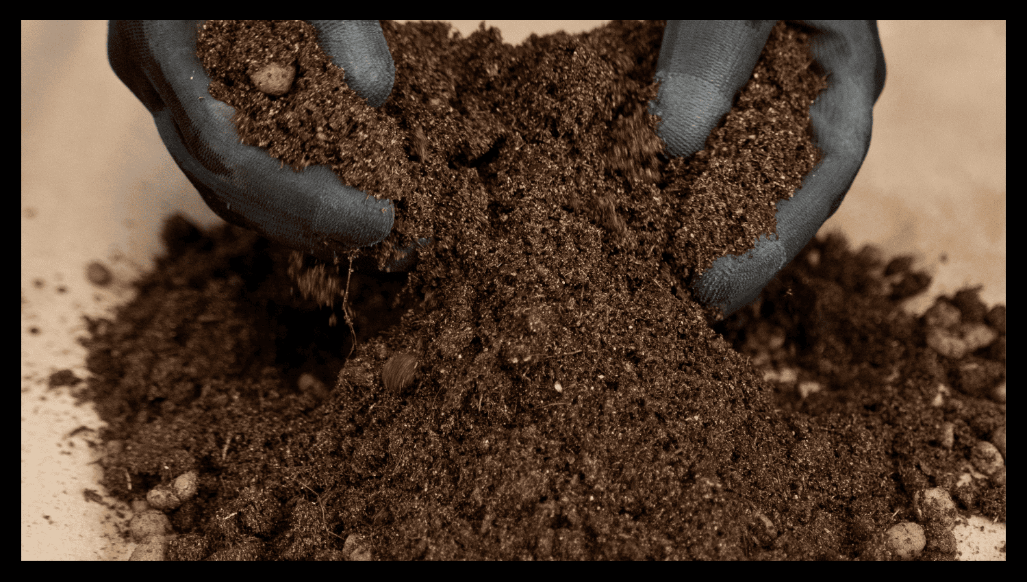 Compenents of Concentrated Super soil