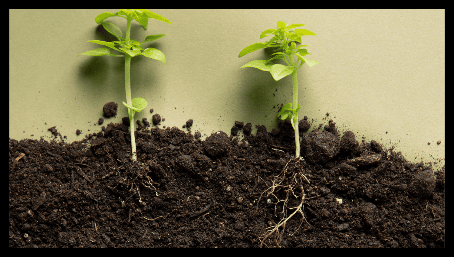 Compost Benefits