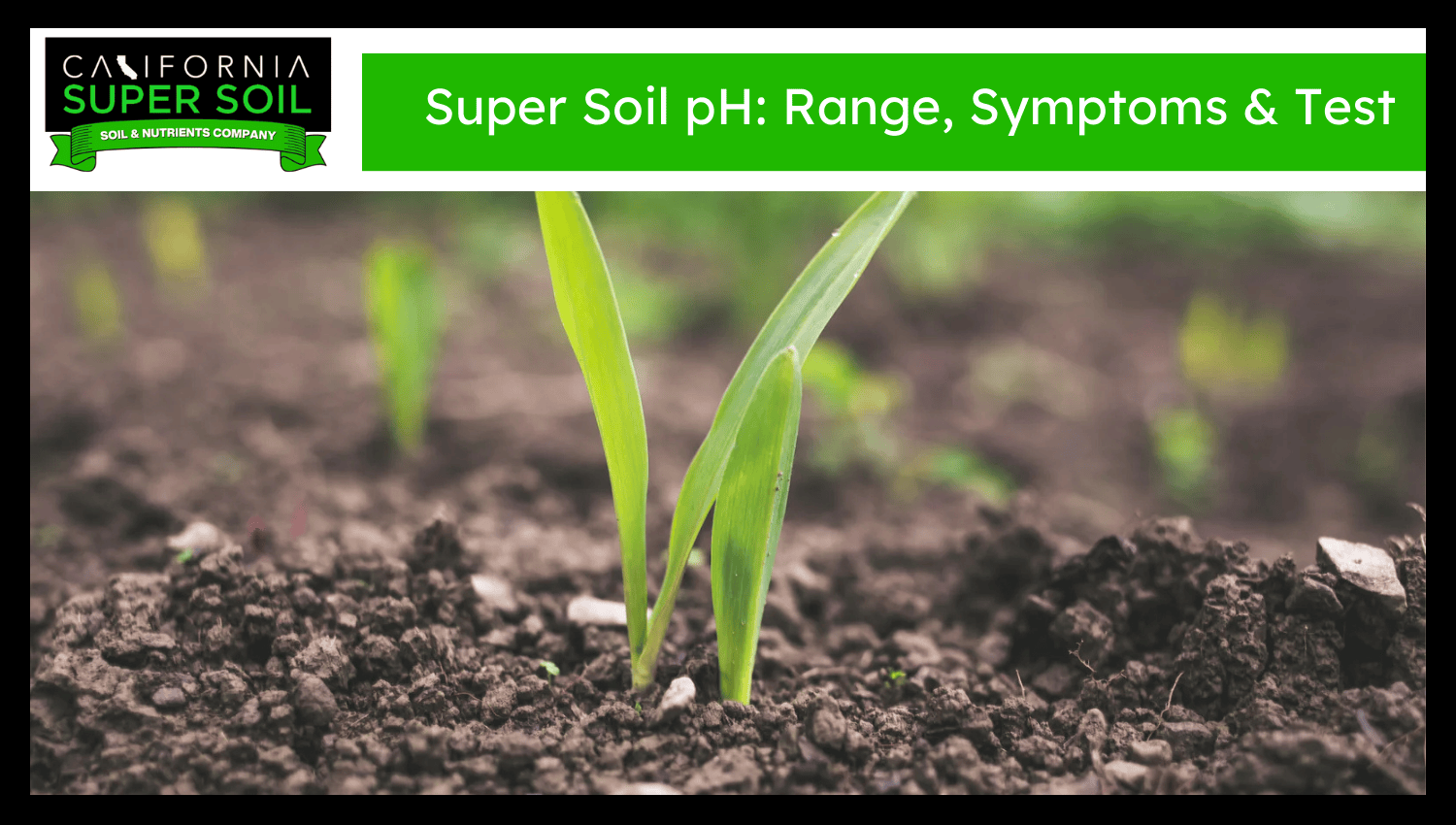 Super soil ph