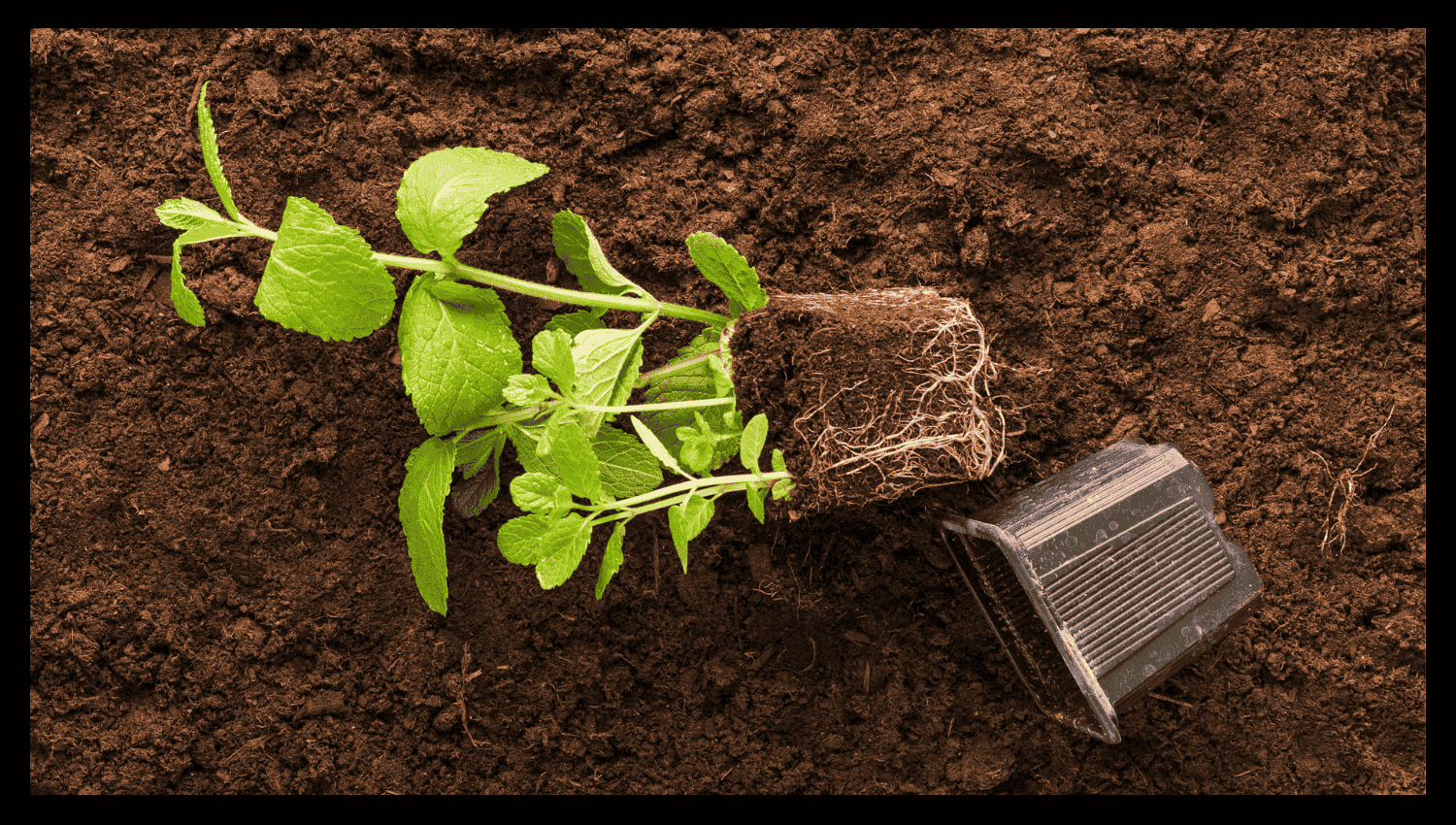 Types of Rock Dust
