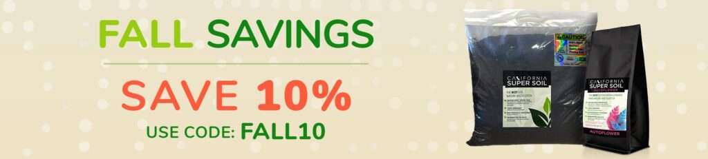 fall savings banner